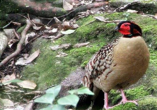 中国最美摩旅路线,国庆7天摩旅最美路线