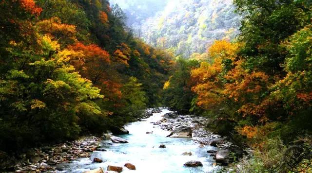 成都周边哪里好玩点的景点推荐下,成都附近免费旅游景区有哪些