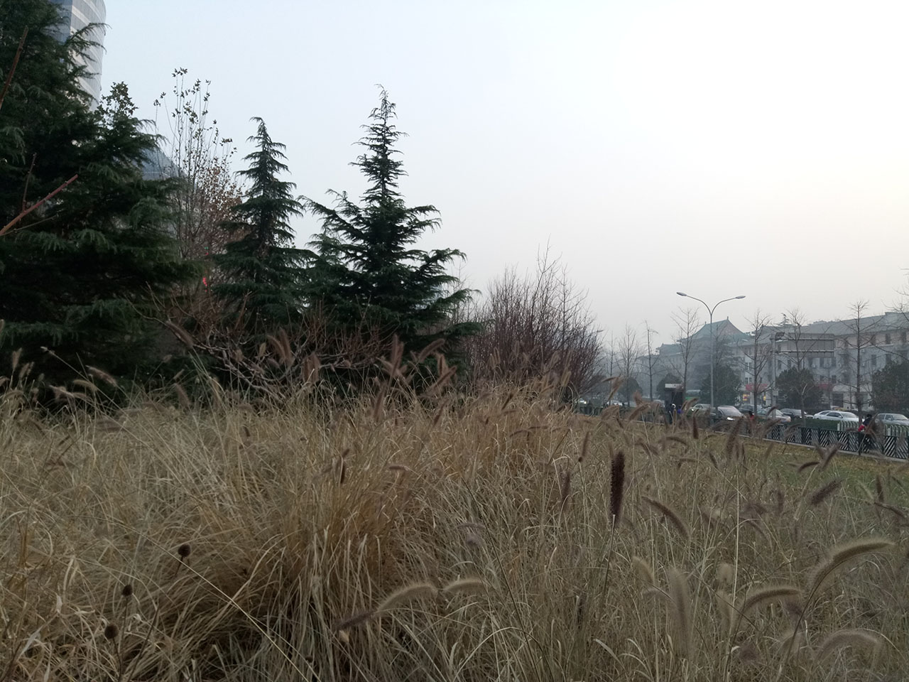 魅蓝5值得买吗,魅蓝5全新