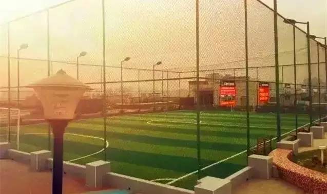 成都最爽看足球比赛的地方,成都凤凰山专业足球场看球攻略