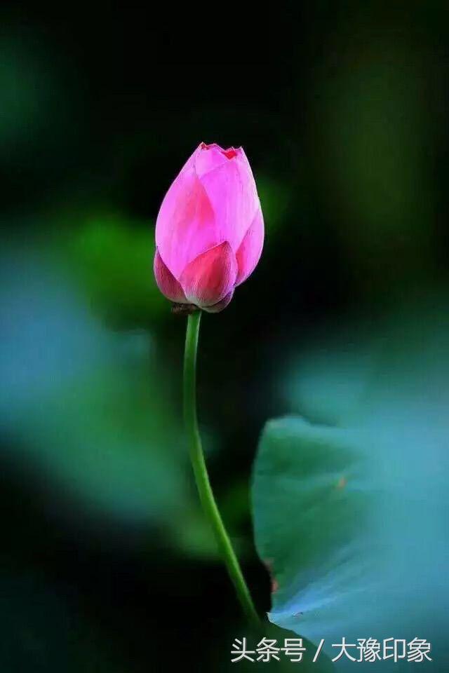 小说推荐韩思语,徐晟韩思语小说结局