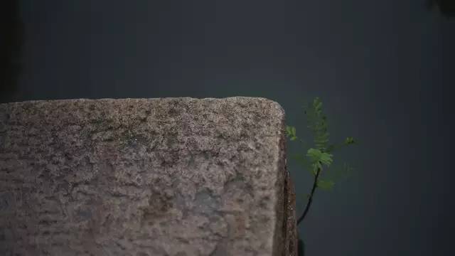 水没有故事，故而郑重其事