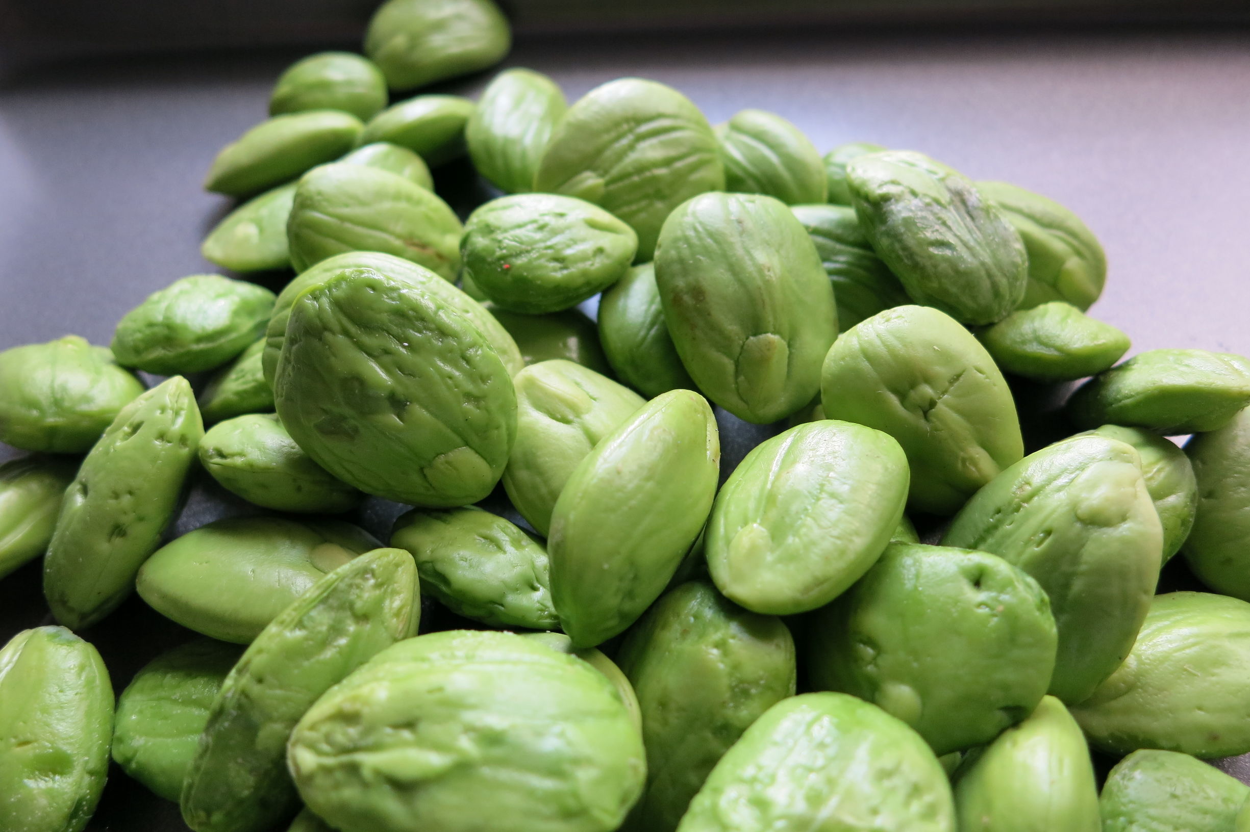 美丽球花豆（臭豆）你吃过吗？