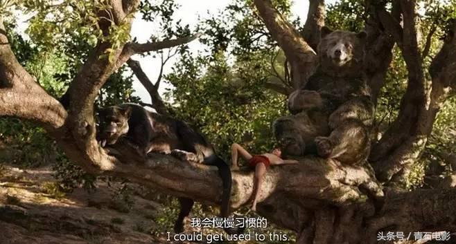 必看的10部大片,超燃劲爆大片