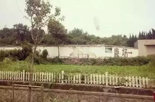 南京好玩的农家乐度假村排名,南京农家乐周末最值得一去的地方