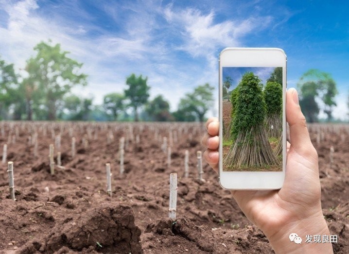 想逆袭怎样做计划,想逆袭没有方向