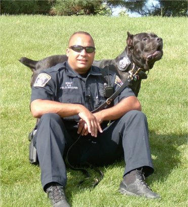 最忠诚的十大猛犬排行榜前十名,十大猛犬排行榜第一名是谁啊