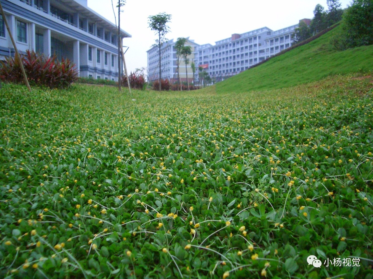 新旧老照片对比人物,新旧照片对比视频