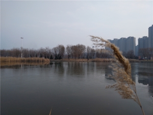 z11minis鎵嬫満,灏忔棗鑸皕11minis