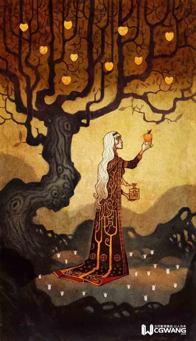 插画教室专业插画设计基础教程,插画设计大学