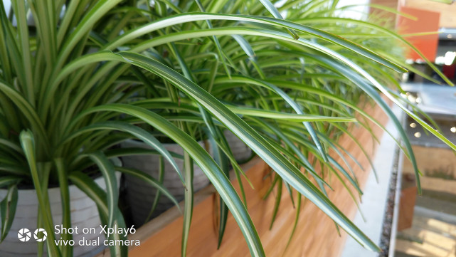 vivoxplay6测评还值得购买吗,vivoxplay6刚发售价格