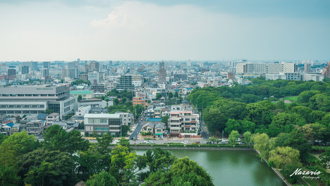 粉红猪小妹与小猪佩奇,粉红猪小妹的快乐生活