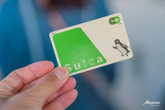 粉红猪小妹与小猪佩奇,粉红猪小妹的快乐生活