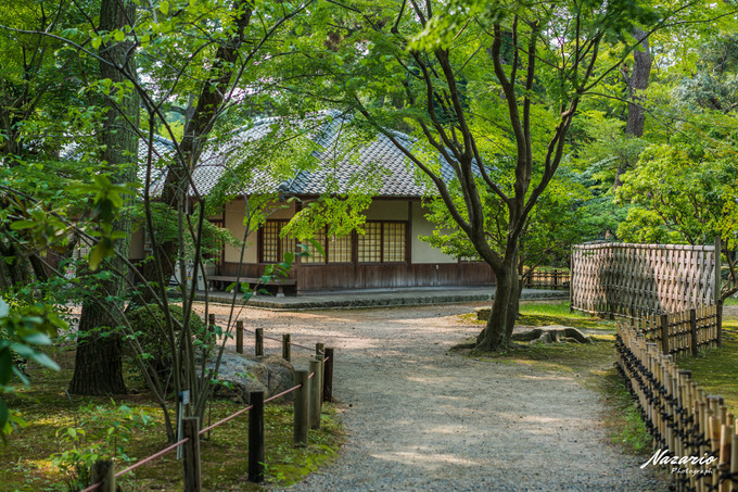 粉红猪小妹与小猪佩奇,粉红猪小妹的快乐生活