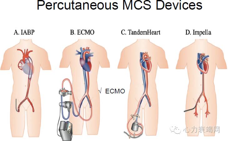 心衰专家张健,中国心衰诊断及治疗指南2018