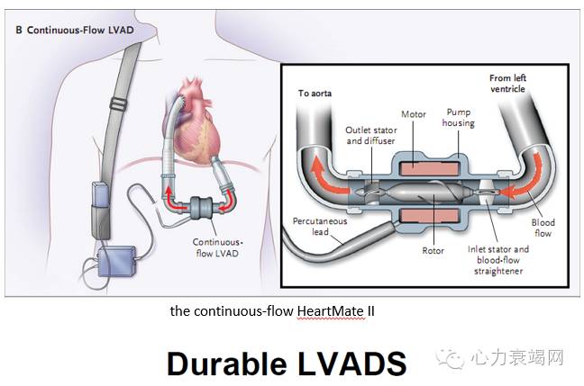 阜外张健心衰,心衰专家张健