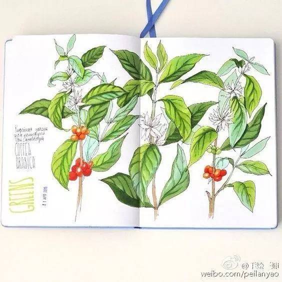 手帐读书笔记制作过程,适合新手做的手帐超好看又超简单