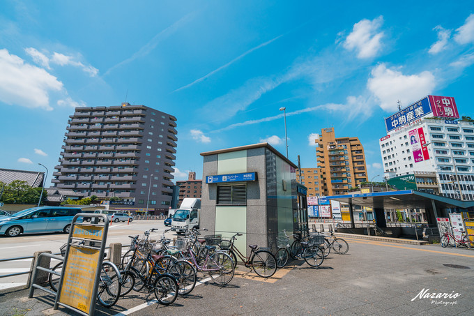 粉红猪小妹与小猪佩奇,粉红猪小妹的快乐生活