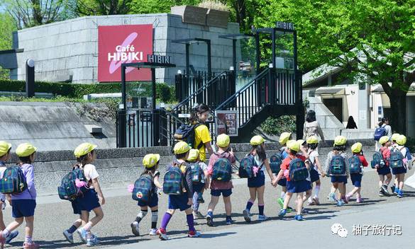 樱花旅行记全集视频,樱花季日本14天旅游攻略