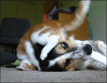 那些年*辱侮**我们智商的剧情，今天才发现深深被套路了~被套路了~