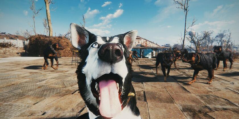 dota2和steam的区别,从steam进入dota2很慢