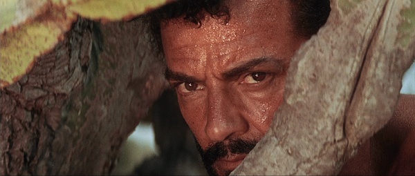 一群人去非洲旅游，既然被土著人*杀虐**，而且还……