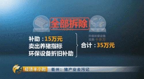 80后养猪致富经,养猪致富案例视频