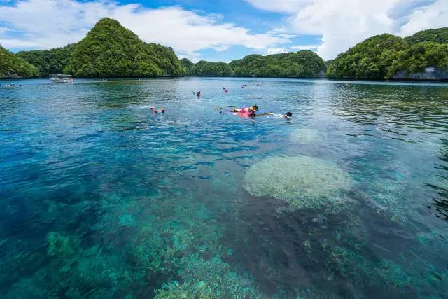 美丽的海岛帕劳风景,帕劳旅游攻略海岛