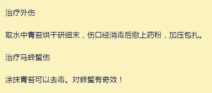 旅游游记到农村01：去看姑婆，农村的小植物治好了我的鼻炎