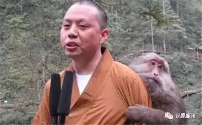 国内居然还私藏了一座“温暖之寺”！网红延参说这是一片忘忧之境