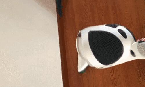 智能吸尘器中的劳斯莱斯,吸尘器界劳斯莱斯