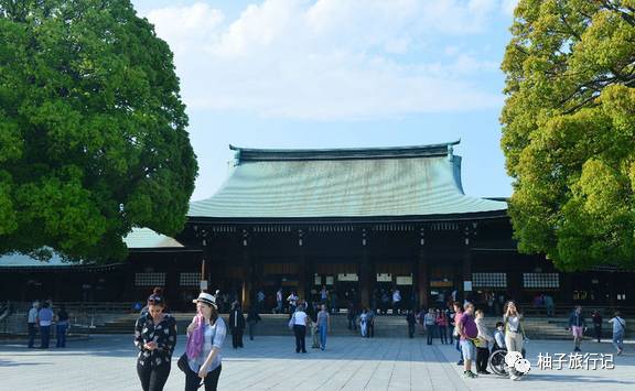 樱花旅行记全集视频,日本樱花7日游攻略大全