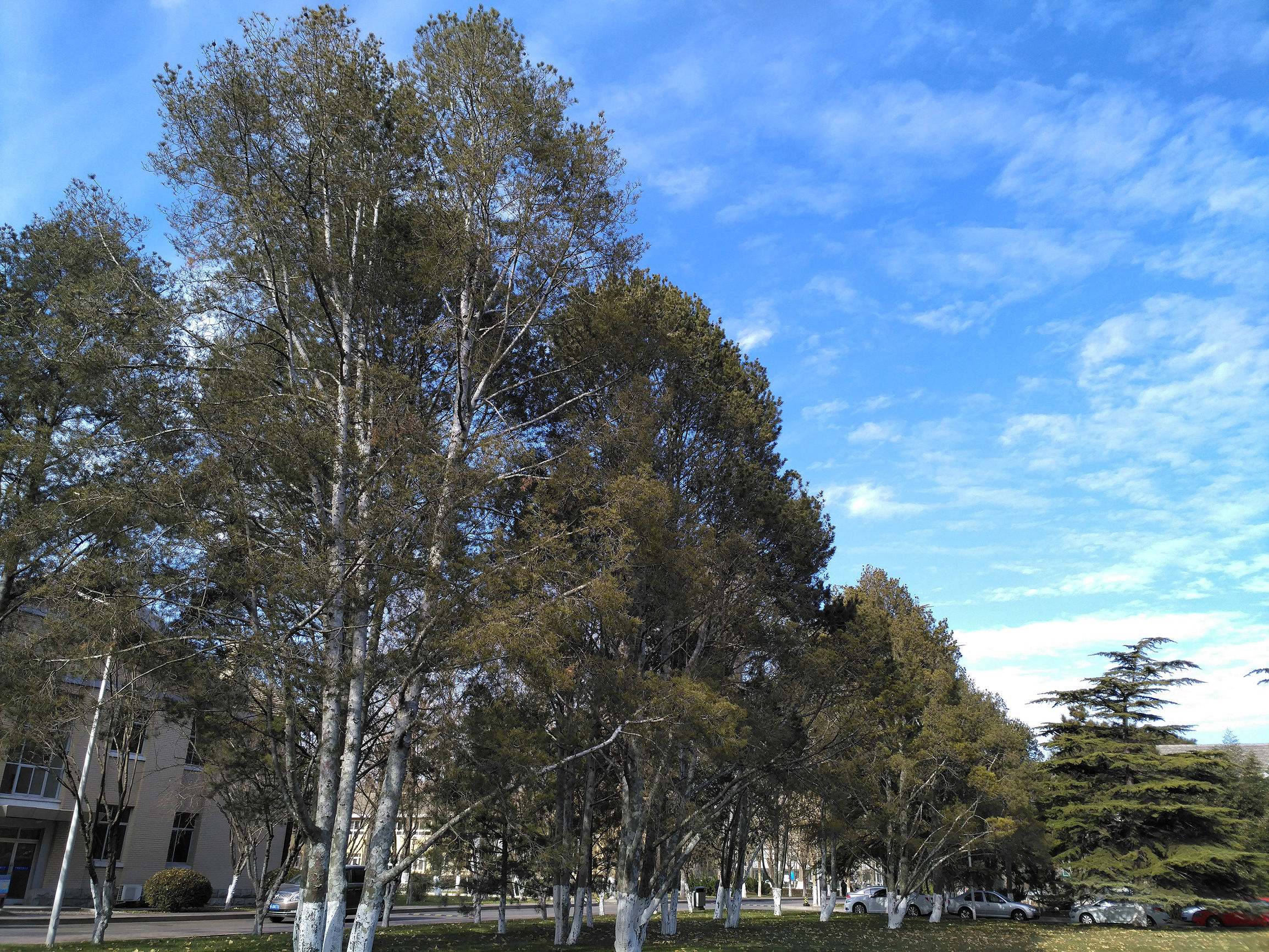 锤子m1l手机测评,锤子m1l有哪些功能