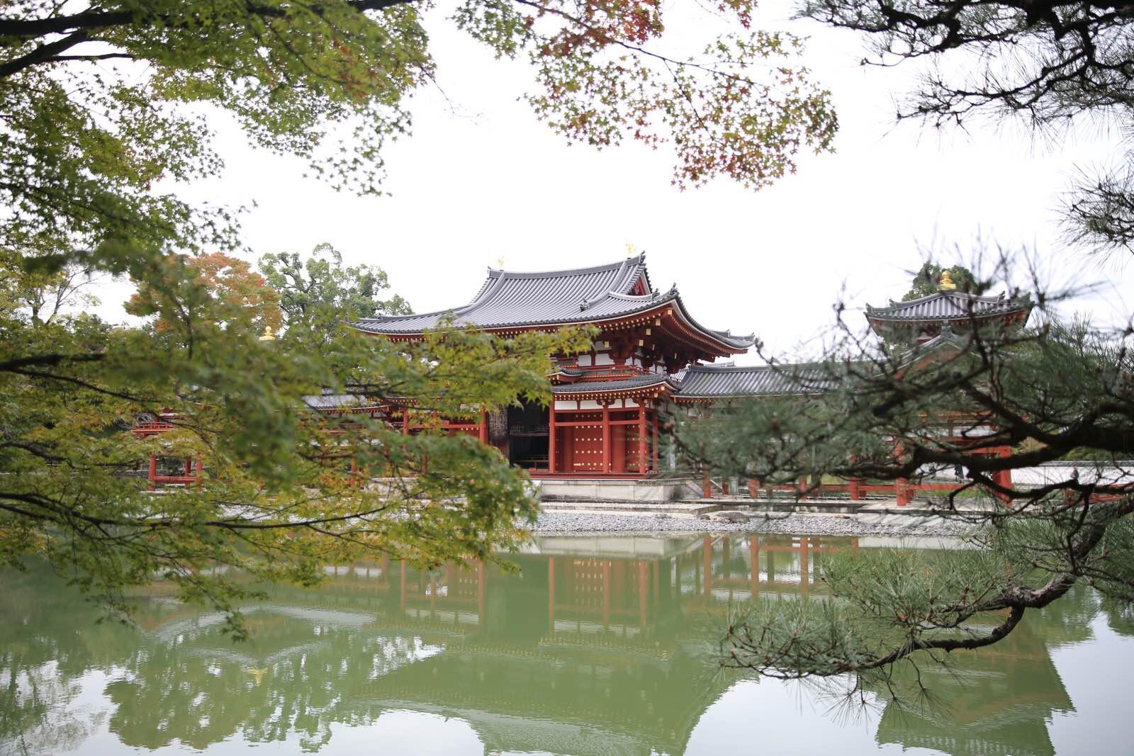 关西温泉六日游,大阪关西机场温泉