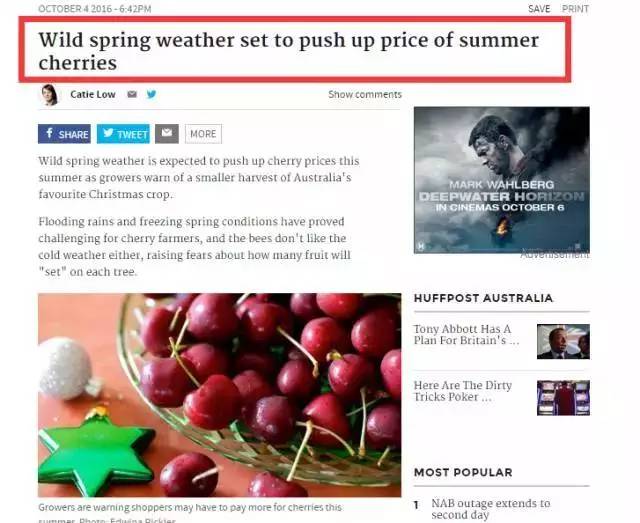 澳大利亚的新鲜樱桃,澳洲樱桃