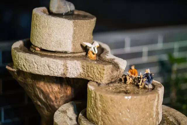 闇插彴澶氳倝鑺卞洯椁愬巺,澶氳倝妞嶇墿椁愬惂