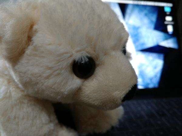 酷派s1旗舰版,酷派s1用什么系统