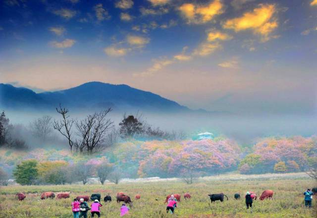 武汉到北京旅游团有哪些景点免费,武汉到贵州旅游团纯玩团
