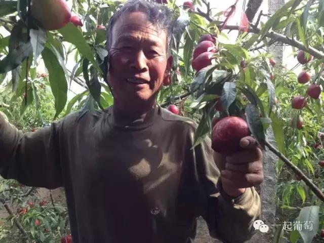 当扶贫遇上互联网,当统战工作遇上互联网