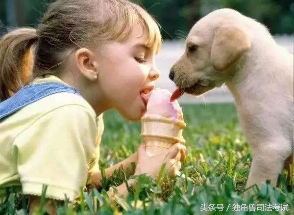 学习时困怎么办,学习困了怎么提神
