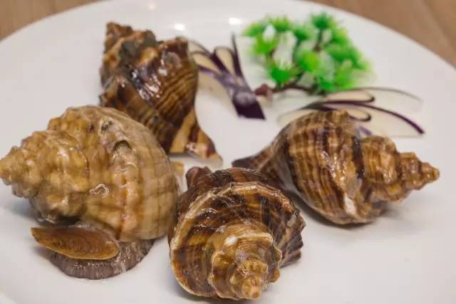 澶氳倝妞嶇墿椁愬惂,妤奸《澶氳倝鑺卞洯椁愬巺