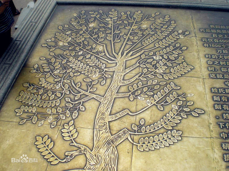 中国八大姓排名,中国十大名门望族现在还有嘛