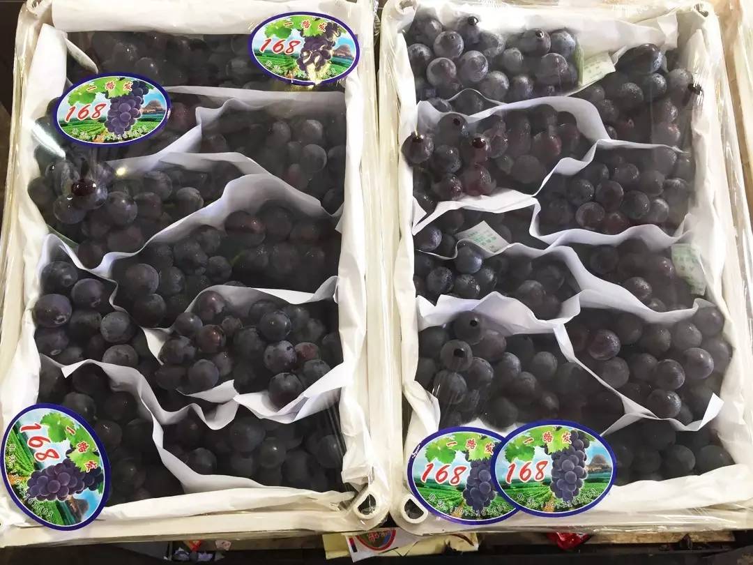 正品进口食品中国代理商,国产进口食品批发商进货渠道