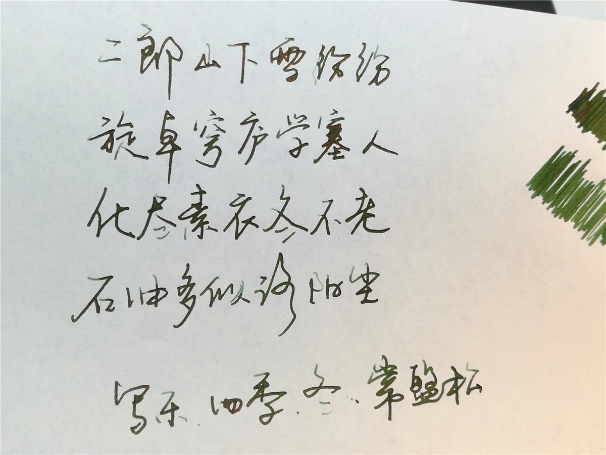 写乐四季织名月钢笔测评,写乐四季彩钢笔开箱视频