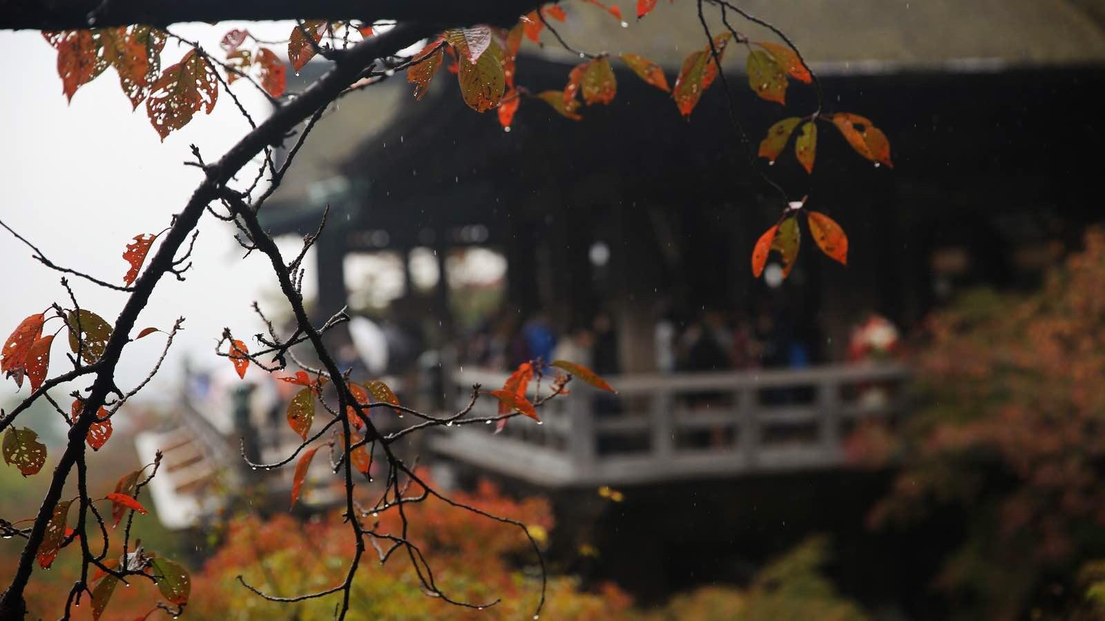 日本关西温泉圣地,日本关西房间内温泉