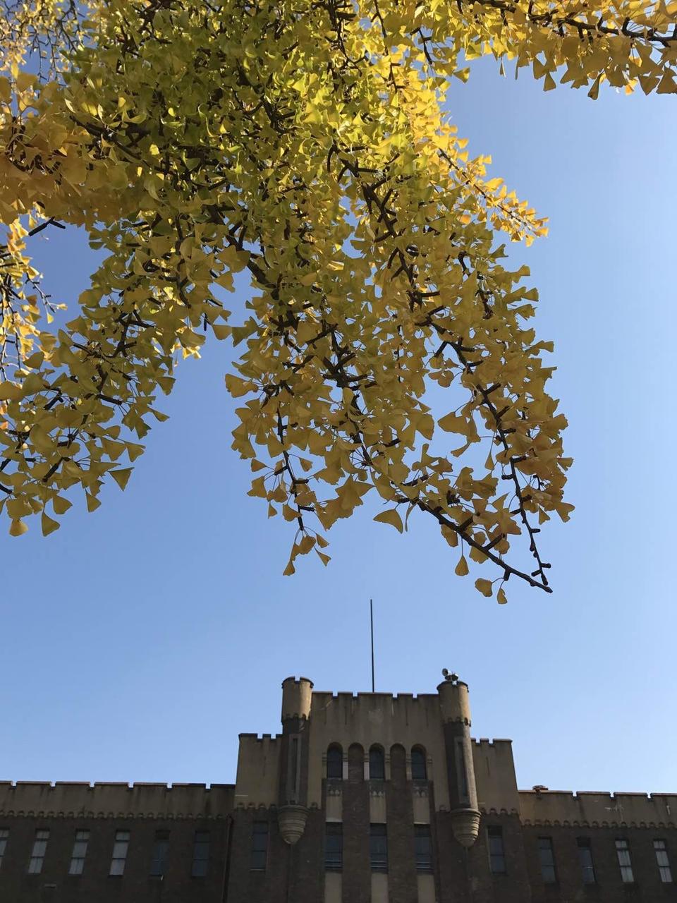 关西温泉六日游,大阪关西机场温泉