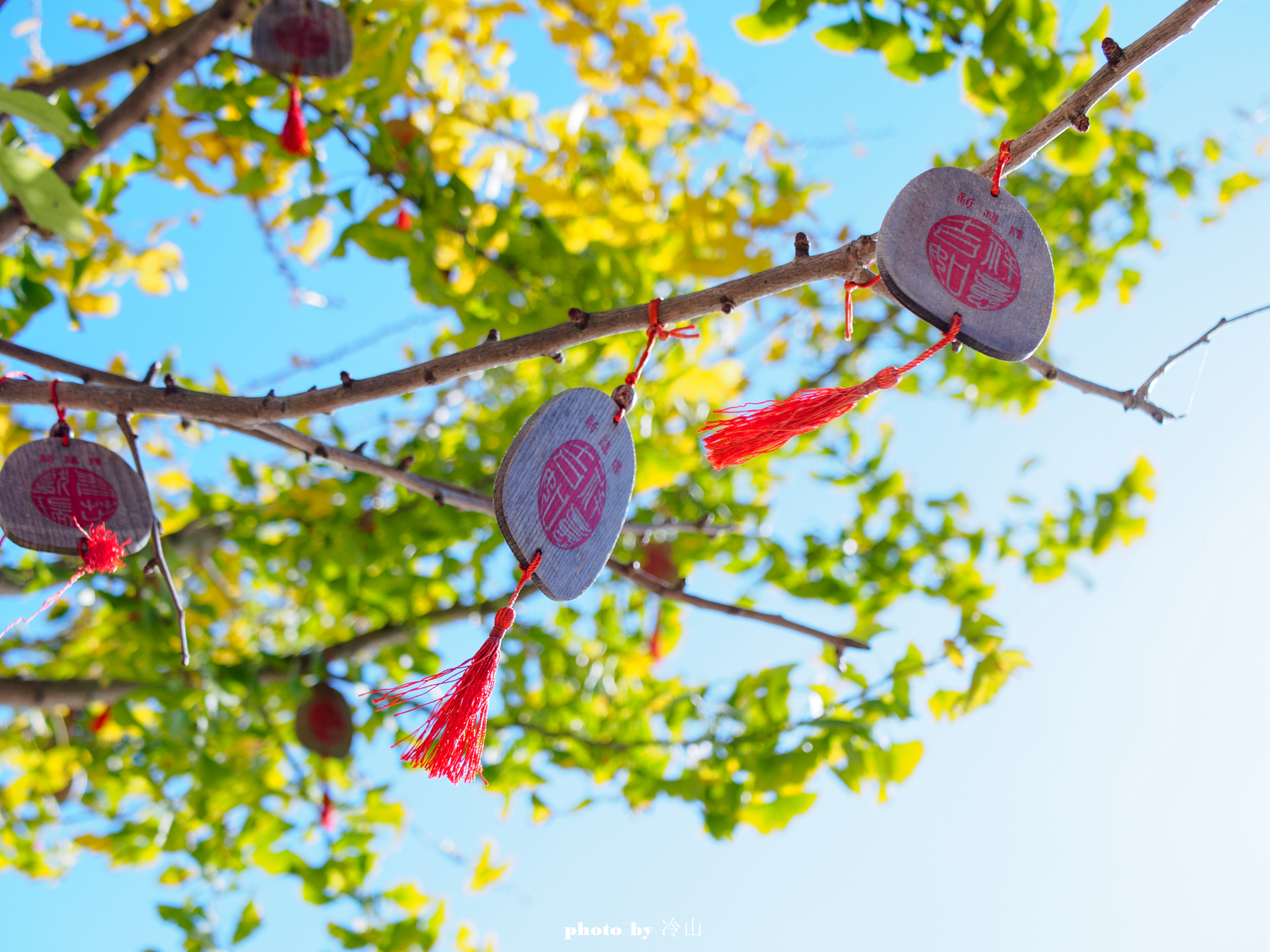 鍐伴洩濂崇帇濂ヤ綋,濂ヤ綋鍐伴洩