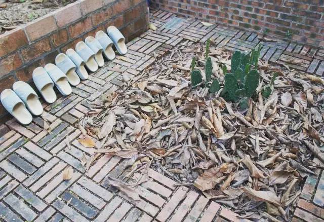 这间隐秘的书店，说要重新定义广州的美学