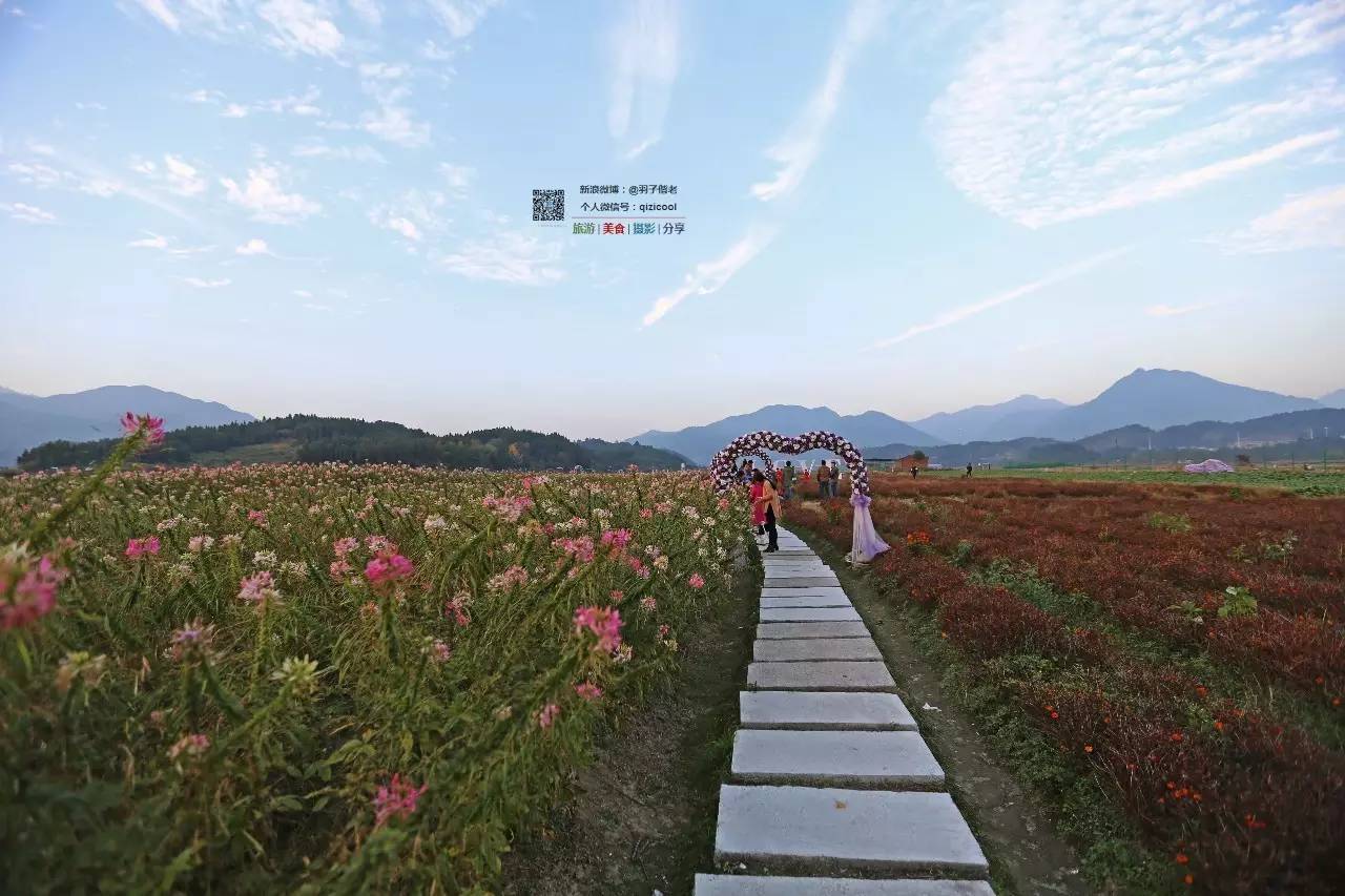 去清远连州怎样最方便,广东连州攻略