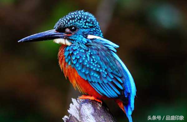 世界最美的玉图片,世界各国玉石翡翠精品